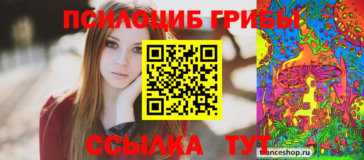 Сатка  где продают наркотики  Вход с VPN  Псилоцибиновые грибы GOLDEN TEACHER 