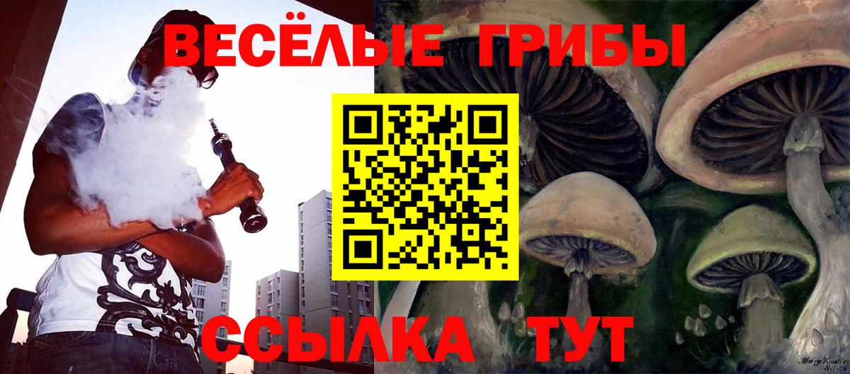 Галлюциногенные грибы Psilocybine cubensis Сатка